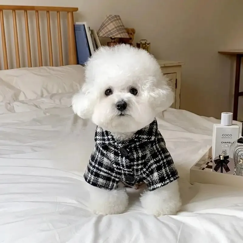 Cozy Black Dog Sweaters Winter Warmth