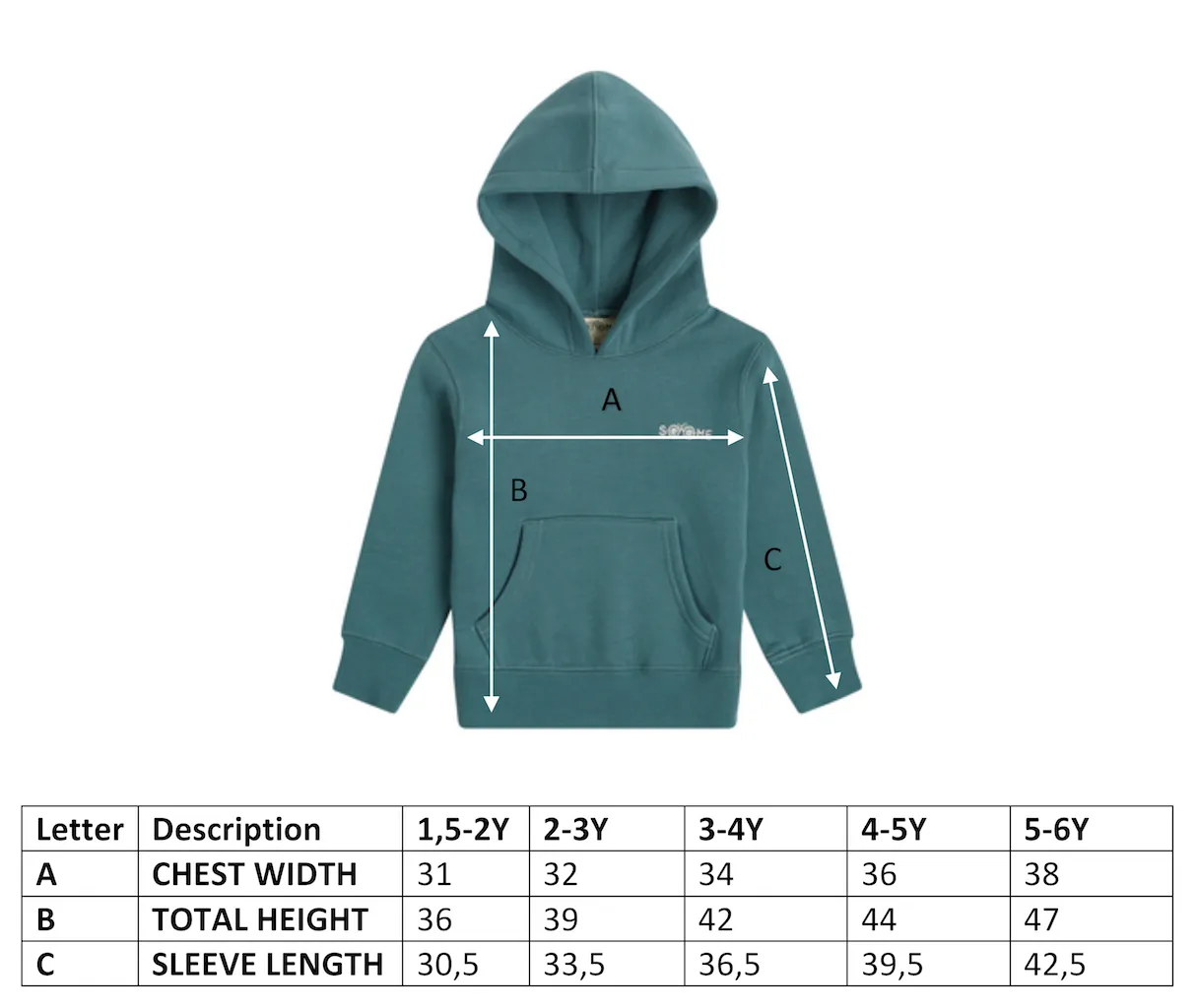 Hoodie North Atlantic