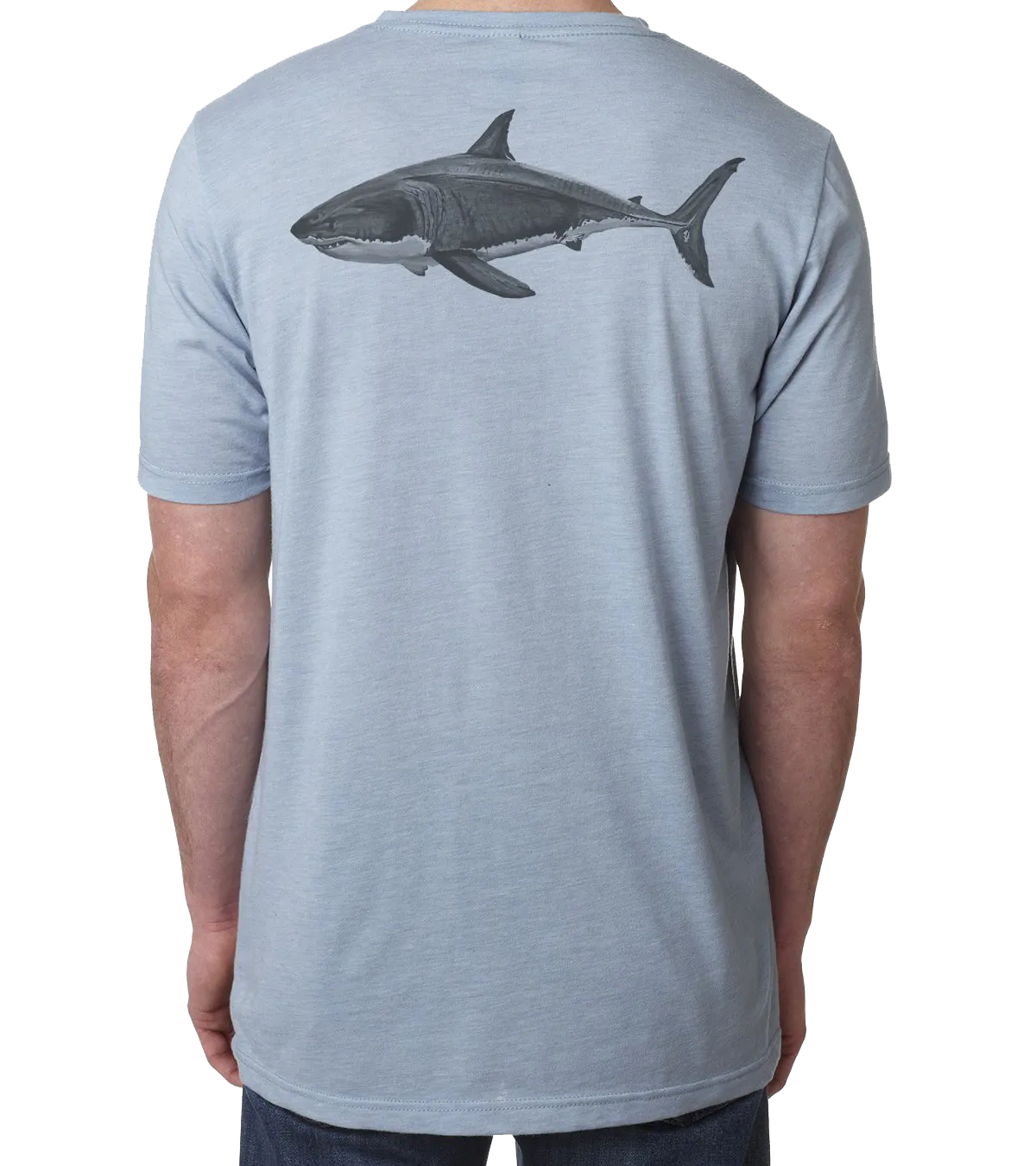 Shark Allies Great White by Cherilyn Ramsey