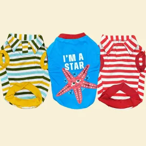 Super Saver Pack of 3 T-shirts Bossy