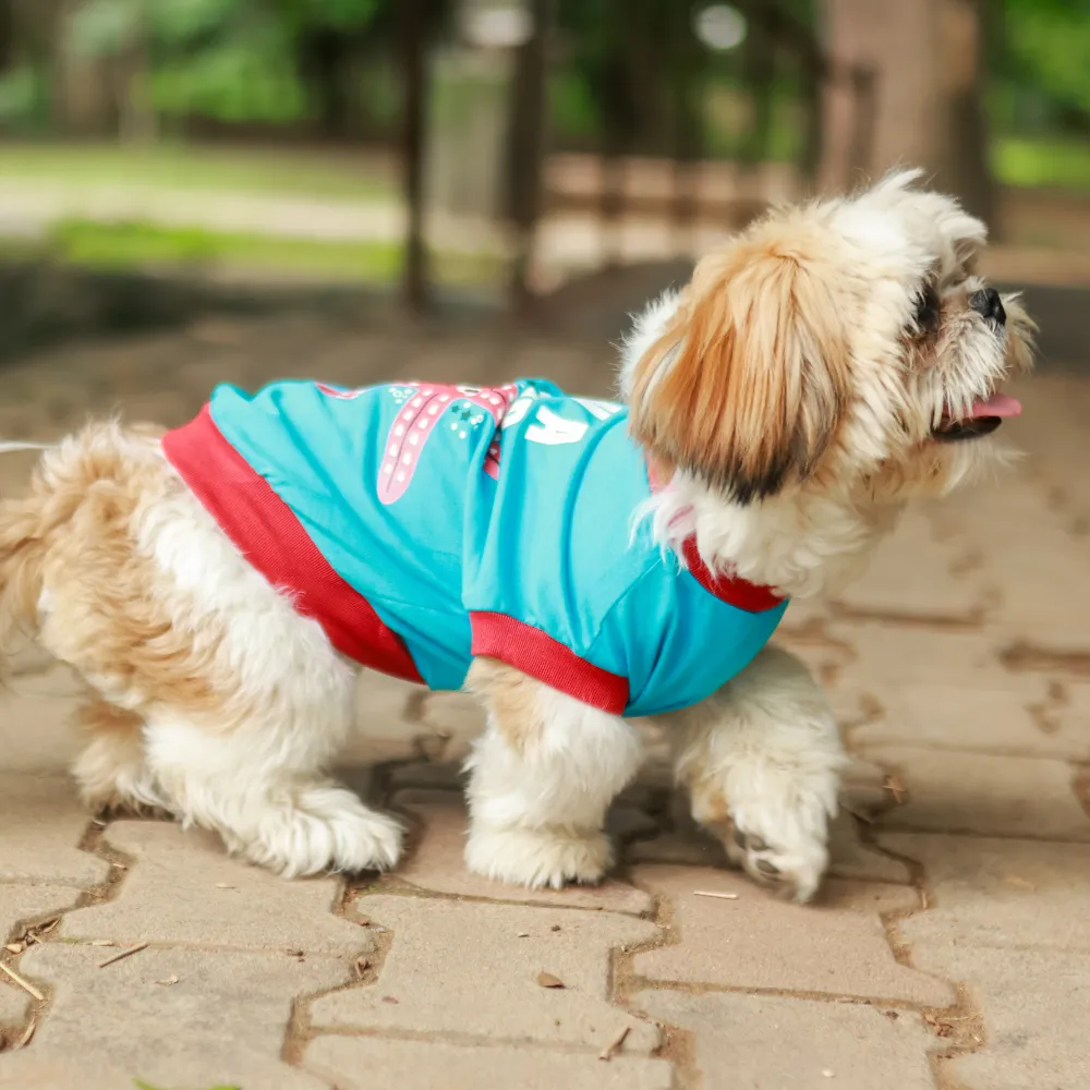 Super Saver Pack of 3 T-shirts Bossy